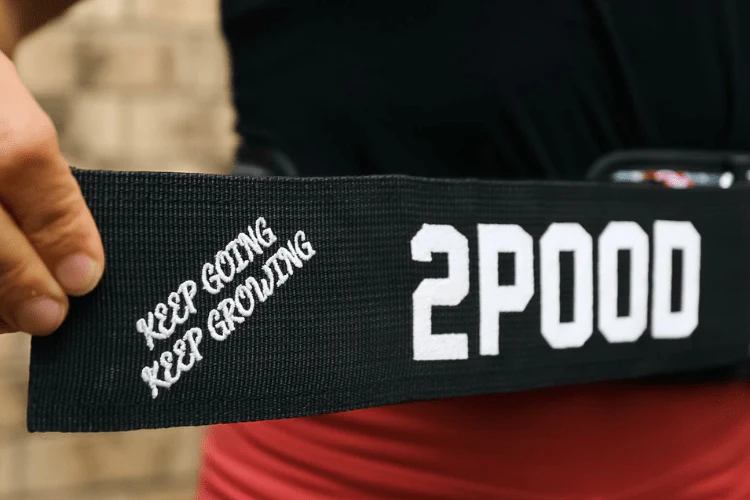 Daisies 4" Weightlifting Belt - Image 3