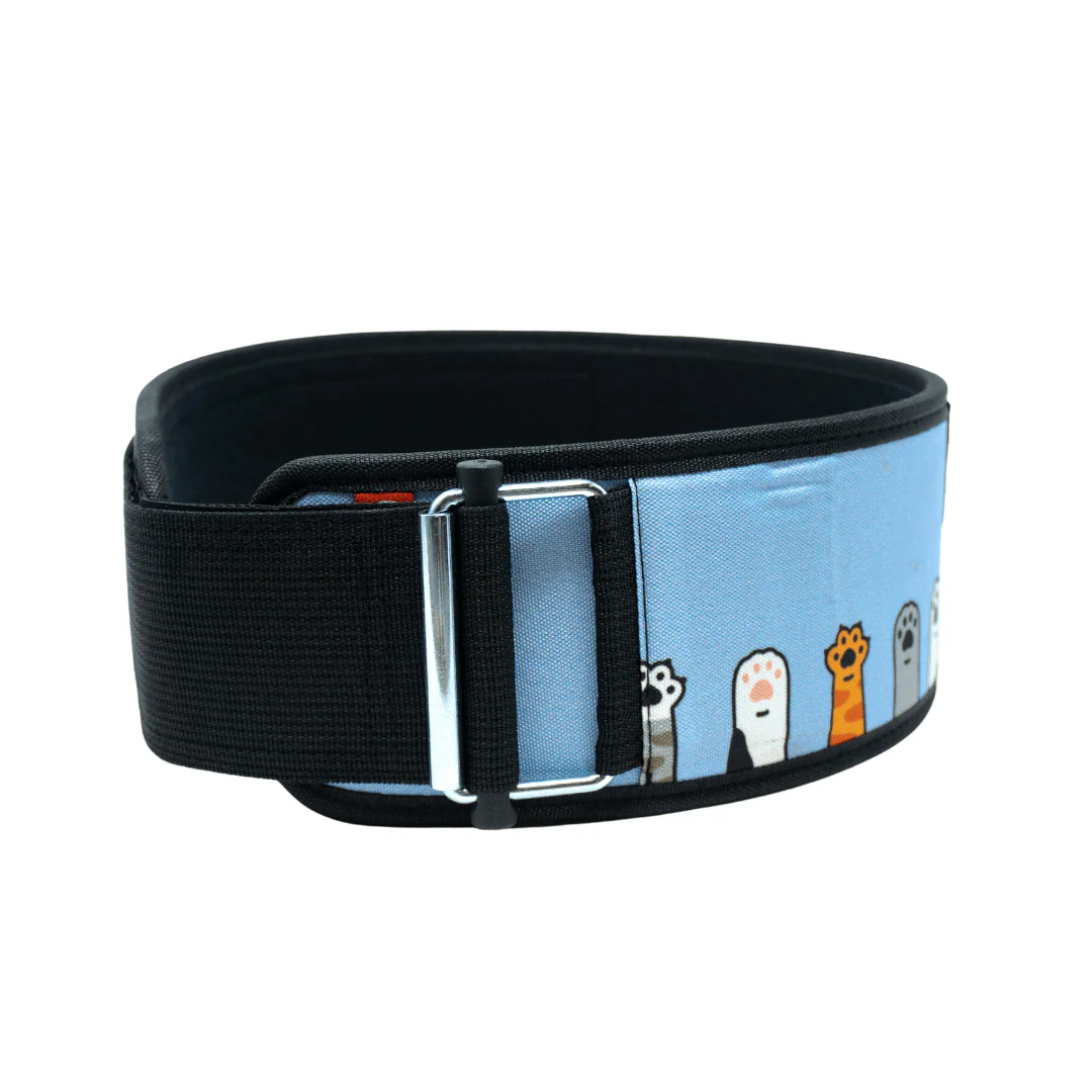 I'm Feline Good 4" Weightlifting Belt - Image 3