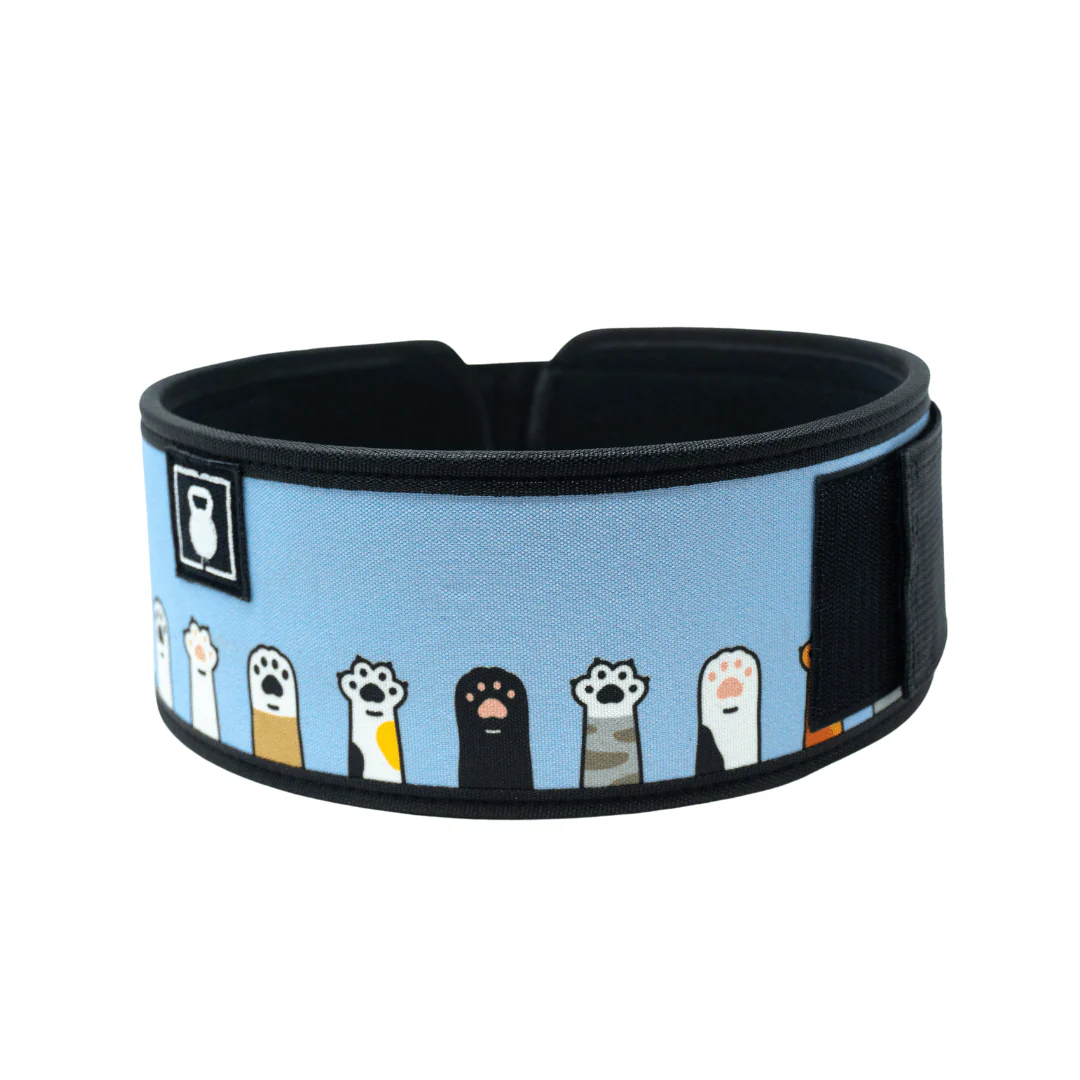 I'm Feline Good 4" Weightlifting Belt - Image 4