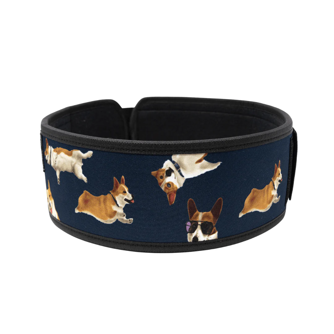 Winston the Corgi 2.0 4" Weightlifting Belt - Image 3